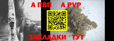 прущие грибы Абакан