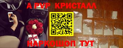 прущие грибы Абакан