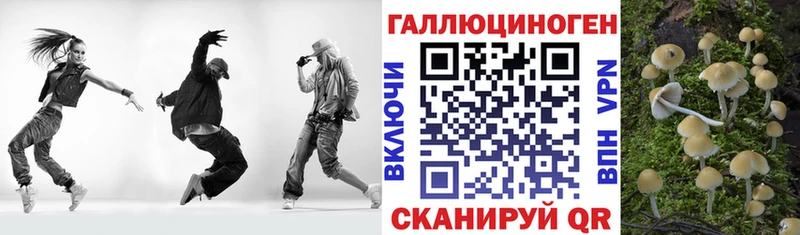 Псилоцибиновые грибы прущие грибы  Лабинск 