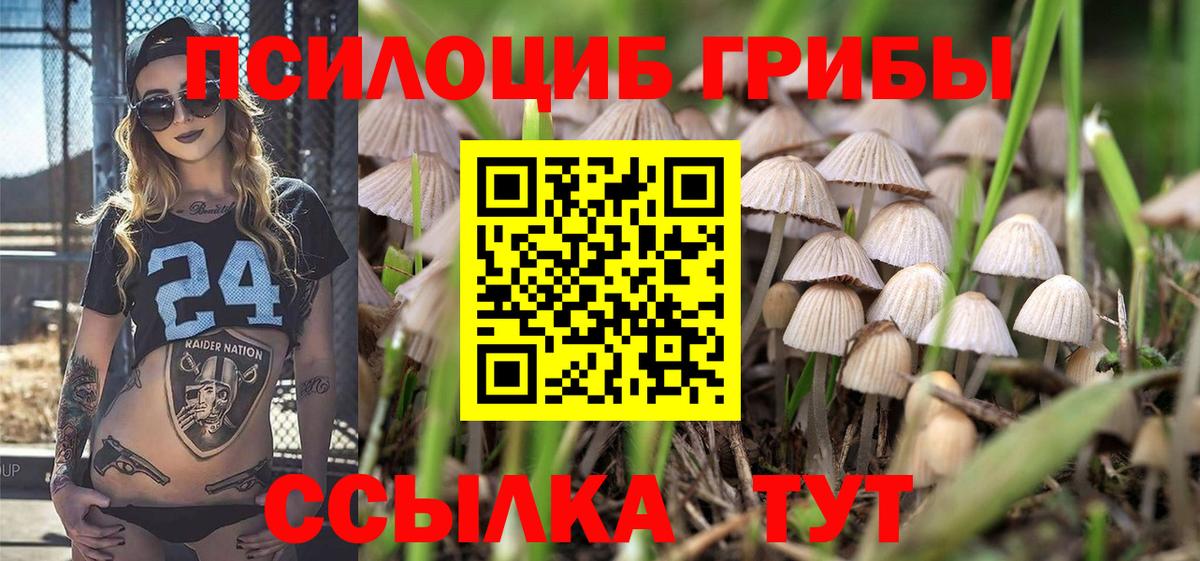 Псилоцибиновые грибы Psilocybe Лабинск