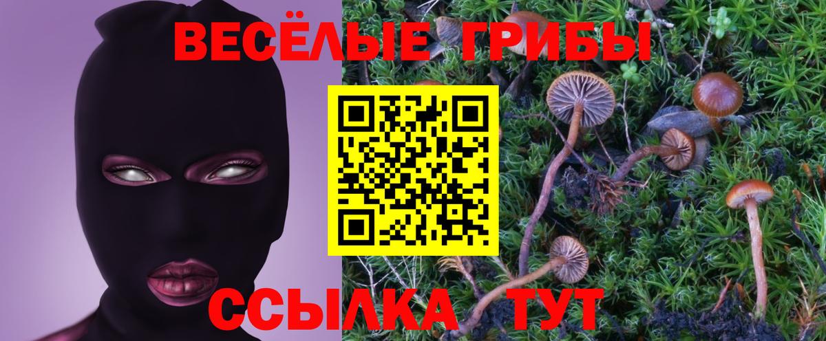Псилоцибиновые грибы GOLDEN TEACHER  Вход с VPN  Галлюциногенные грибы Psilocybine cubensis  Лабинск 